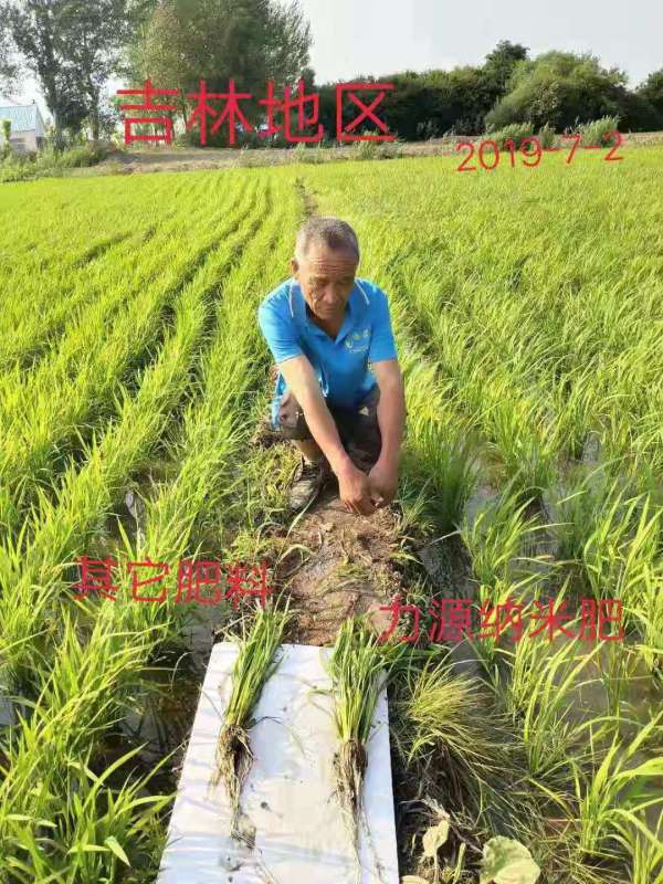 &#26131;&#28216;&#40;&#20013;&#22269;&#41;&#121;&#105;&#121;&#111;&#117;